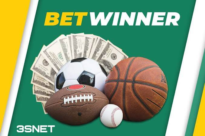 BetWinner Bookmaker Your Ultimate Betting Destination